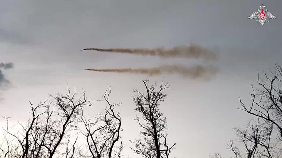 Минобороны России: Артиллеристы группировки войск «Восток» уничтожили автотранспорт и живую силу ВСУ в Днепропетровской области