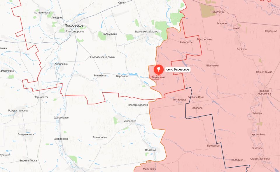 Министерство обороны России сообщает об освобождении населенного пункта Березовое Днепропетровской области