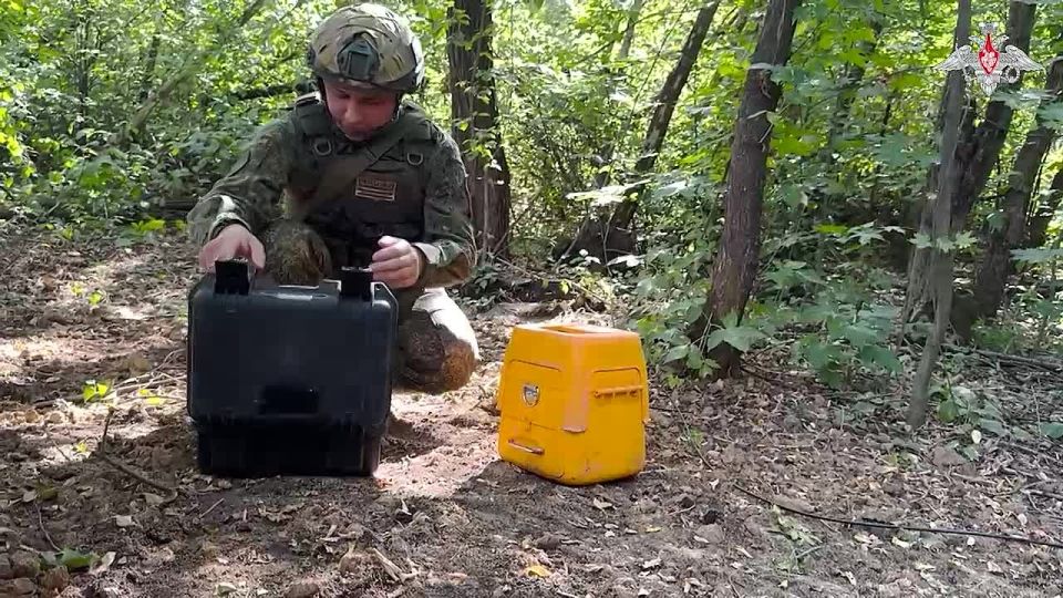 Минобороны России: Военнослужащие бригады управления группировки войск «Восток» восстановили повреждённую FPV-дронами противника линию связи в Днепропетровской области