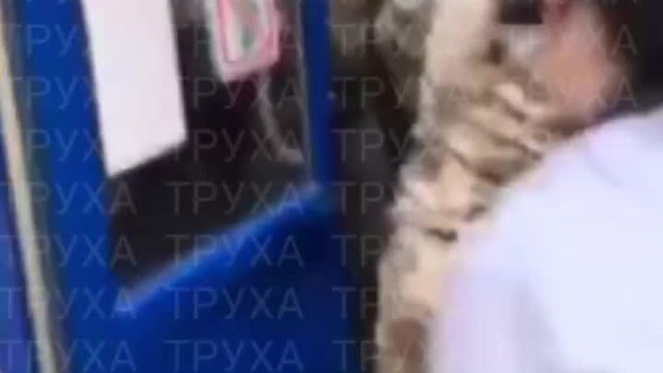 � ��������������� �������� ������� �������� ����� �� ��������