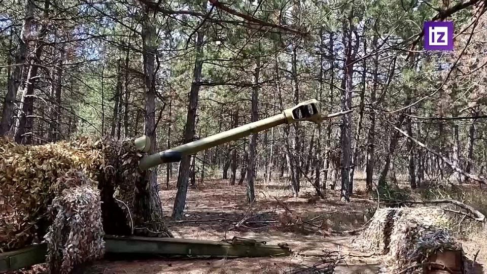В Запорожской области артиллерийский расчёт орудия Д-30 из состава 58-й общевойсковой армии группировки войск "Днепр" нанёс прицельный удар по блиндажу ВСУ