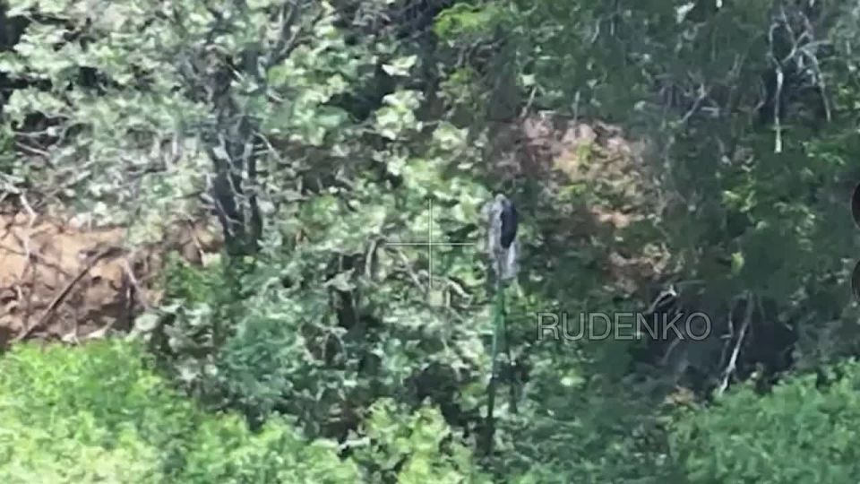 Андрей Руденко: Артиллерия группировки «Восток» уничтожила пункты управления БПЛА и блиндажи в Днепропетровской области, выявив и поразив площадки запуска и замаскированные командные пункты в районе Гавриловки