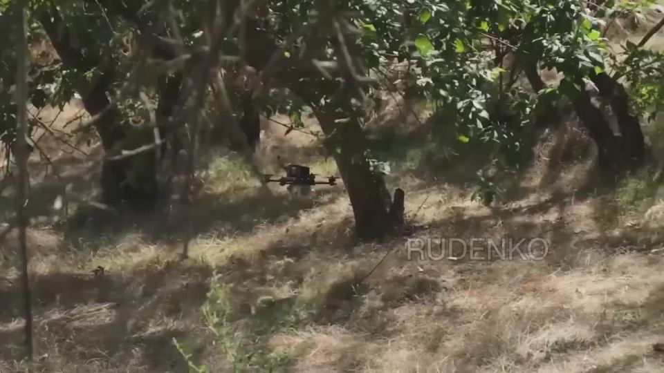 Андрей Руденко: На Ореховском направлении в Запорожской области операторы FPV-дронов гвардейской 58-й общевойсковой армии группировки войск «Днепр» продолжают наносить значительный урон ВСУ, демонстрируя высокую точность и...