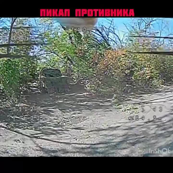 Александр Коц: Начни утро с доната для «Веги»