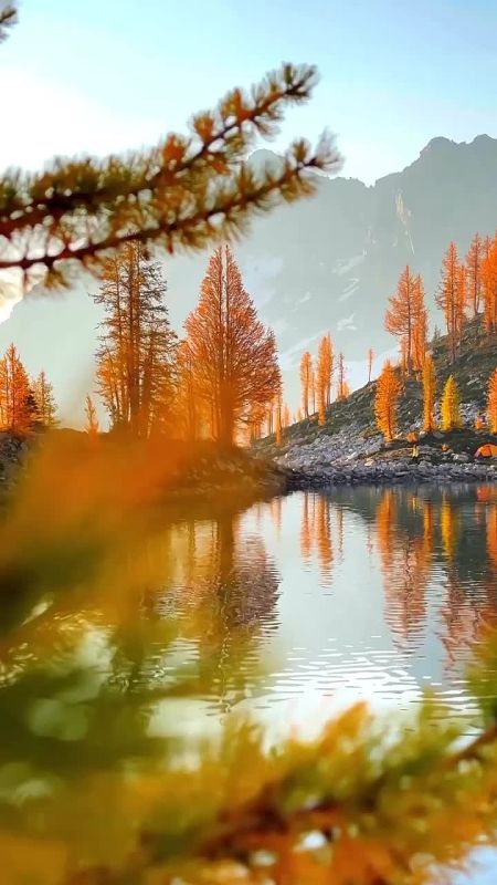 Ищите красоту в каждом мгновении. Порой, чтобы увидеть великолепие, достаточно оглянуться вокруг