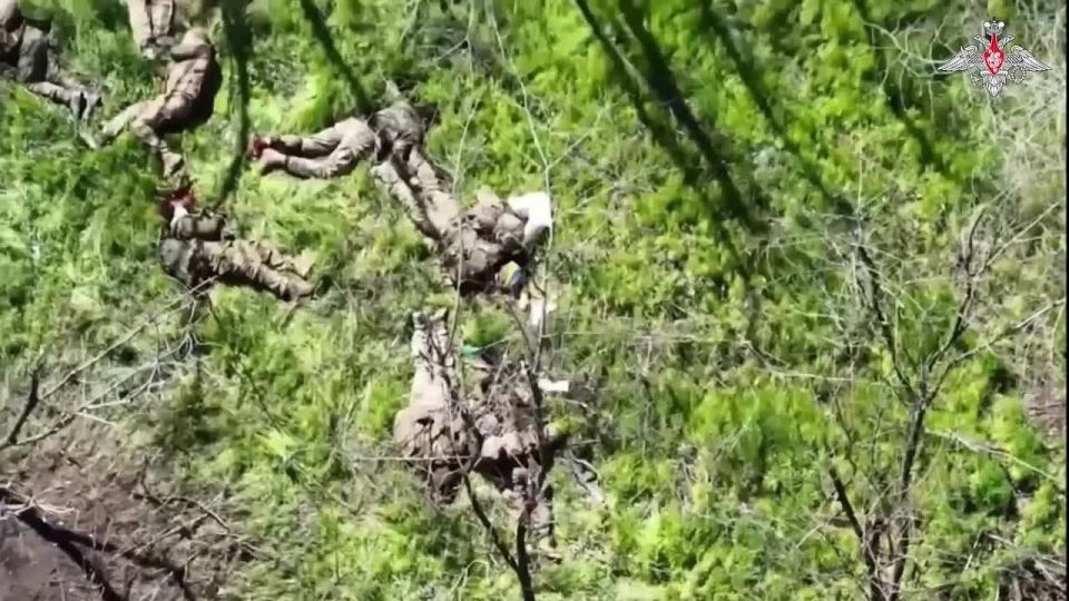 Минобороны России: Разведчики группировки «Восток» перехватили радиопереговоры ВСУ об уничтожении своей группы пехоты