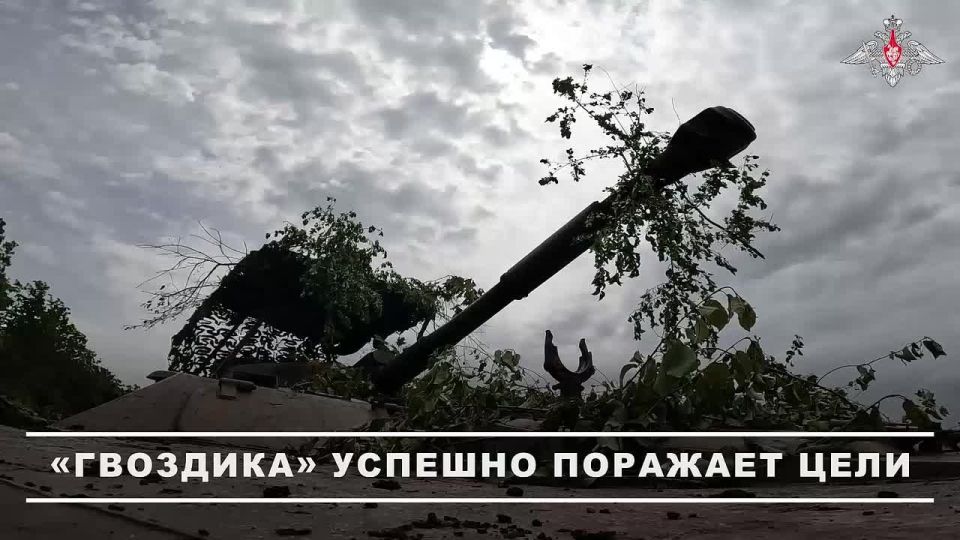 Минобороны России: Артиллерийский расчёт группировки «Восток» уничтожил пункт управления БПЛА противника в Днепропетровской области