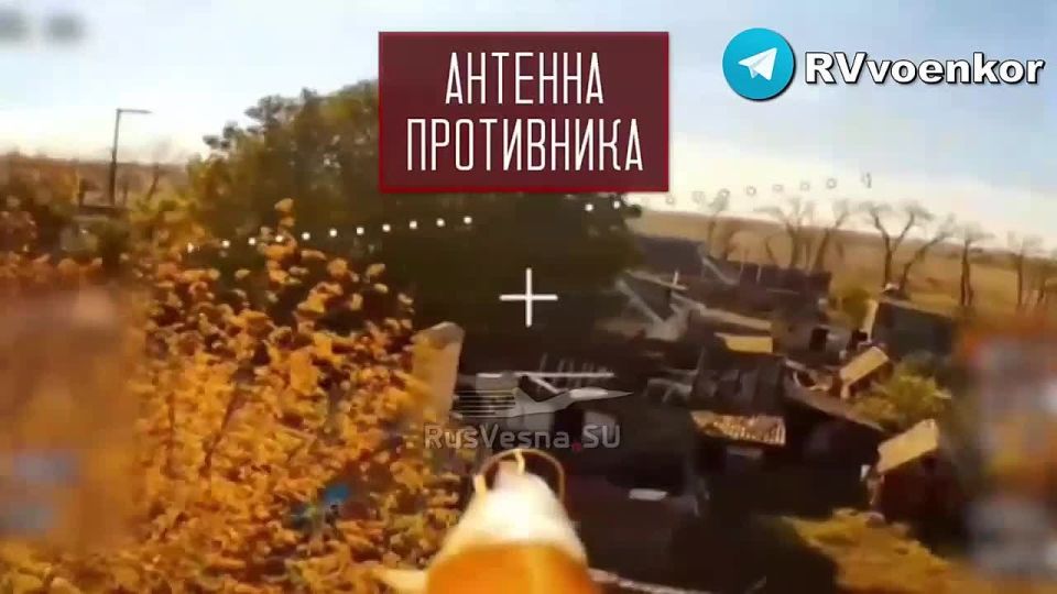 «тважные» наступают в Днепропетровской области и штурмуют Покровск