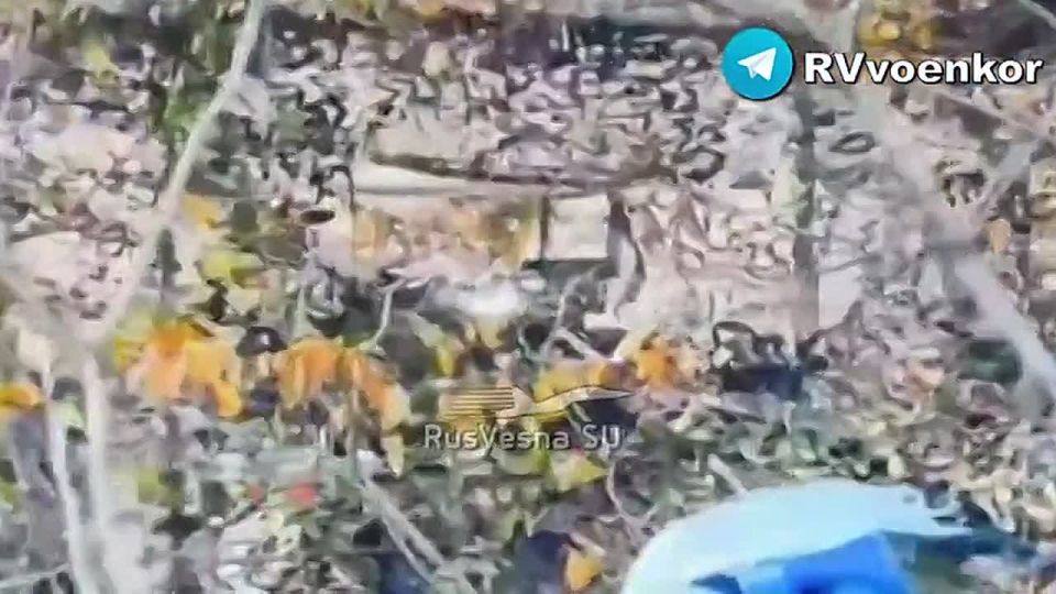 «тважные» наступают в Днепропетровской области и штурмуют Покровск