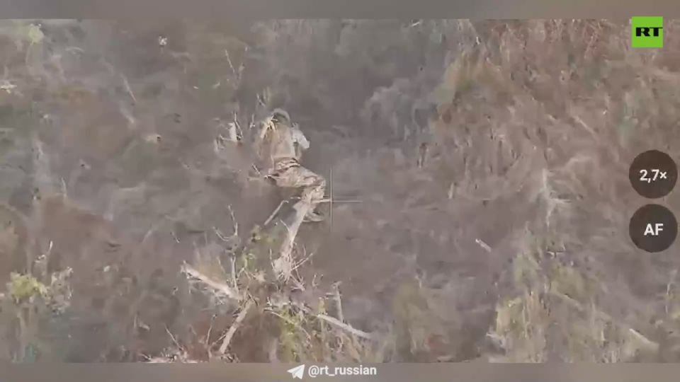 Российский боец вышел победителем из схватки с пятью ВСУшниками в Малой Токмачке