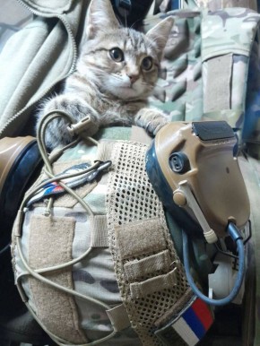  :           Patriot,       