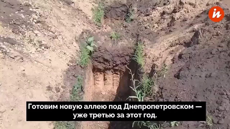 На окраине Днепропетровска роют аллеи новых могил, пишет журналист Уоррен Торнтон в соцсети Х. После особенно тяжелых боев прибывают целые грузовики с погибшими боевиками ВСУ