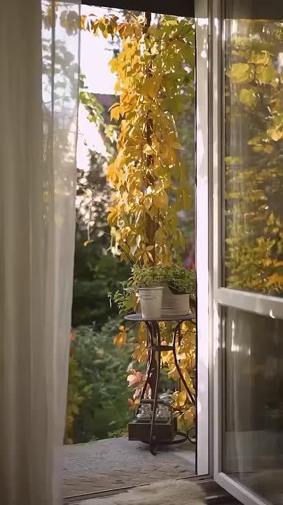 Успей вдохнуть глоток рассвета! И посмотри скорей вокруг, Как много чувственного света! Как в нём чудесен каждый звук