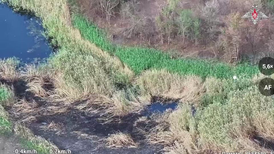 Минобороны России: В ходе операции по освобождению населенного пункта Ивановка в Днепропетровской области для формирования буферной зоны на границе с Донецкой Народной Республикой военнослужащие 228-го мотострелкового полка...