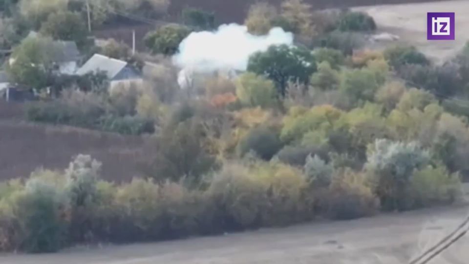 Кадры освобождения населённого пункта Павловка в Запорожской области опубликовало Минобороны РФ