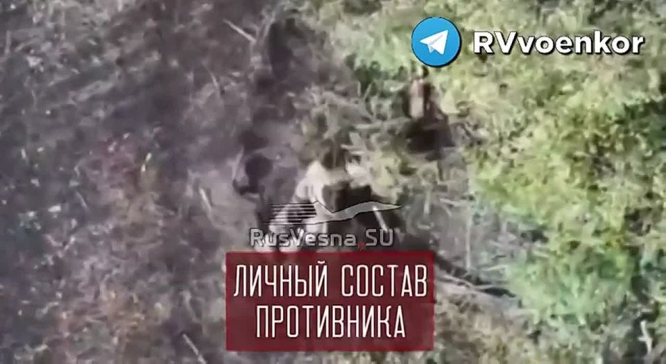 «тважные» наступают в Днепропетровской области и штурмуют Покровск