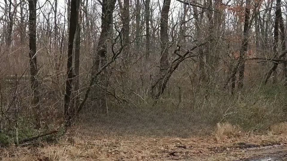 На Южно-Днепропетровском направлении российские войска продвигаются, укрепляя контроль в центральном секторе