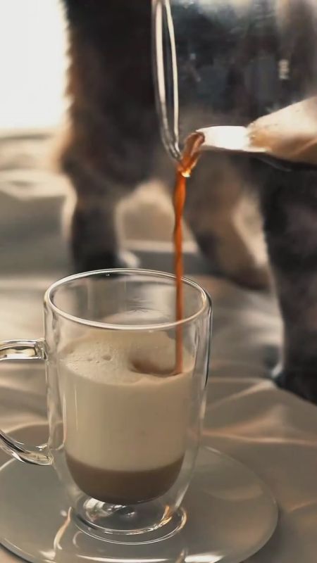 Жизнь - это череда моментов. Замечаешь момент - замечаешь жизнь