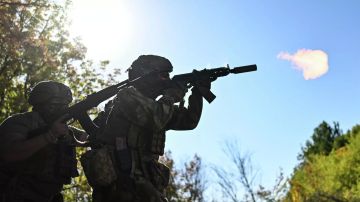 ВС РФ освободили Вишневое в Днепропетровской области – Минобороны