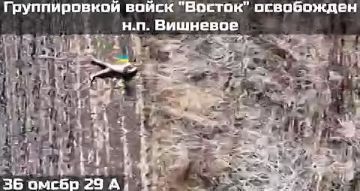 Населённый пункт Вишнёвое в Днепропетровской области перешёл под контроль Вооруженных Сил РФ