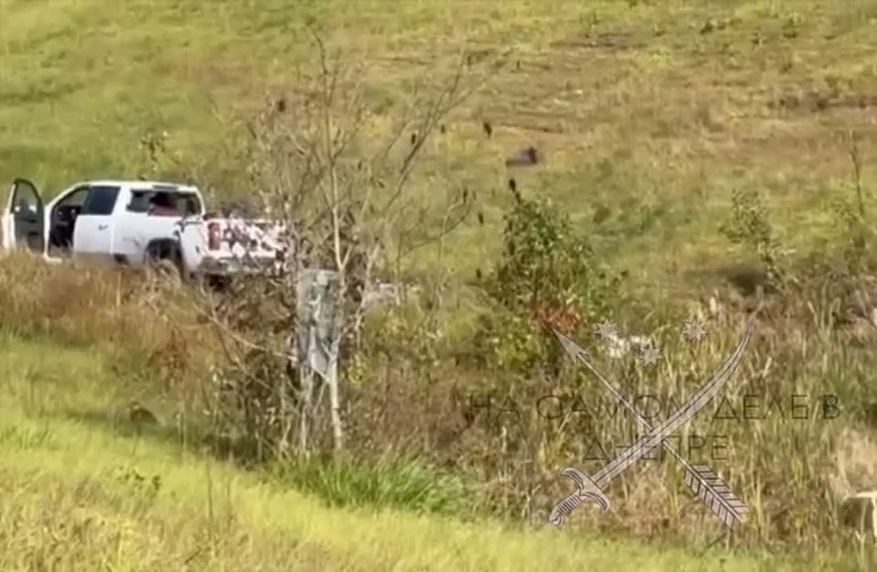 Макаки атакуют. После аварии в американском штате Пенсильвания из грузовика сбежали макаки, заражённые гепатитом C, герпесом и коронавирусом