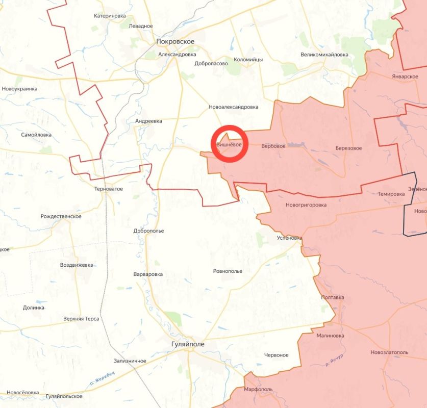 Российские военные освободили населенный пункт Вишнёвое в Днепропетровской области, сообщает Минобороны РФ