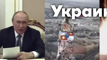      WhatsApp*  Telegram,   -    ""