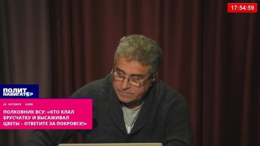 Полковник ВСУ: «Кто клал брусчатку и высаживал цветы – ответите за Покровск!»