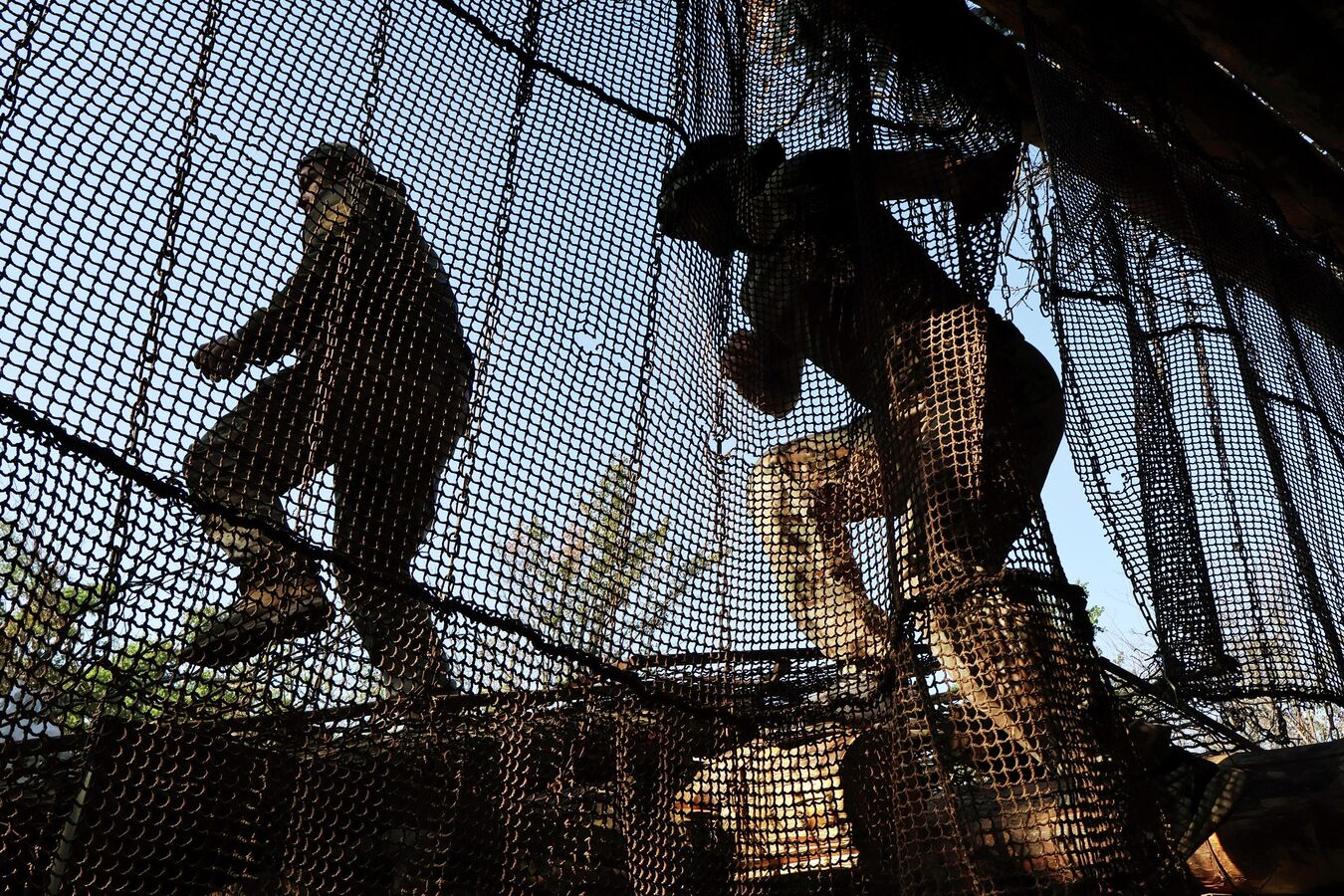 Боец рассказал об обнаружении наркотиков на позициях боевиков ВСУ