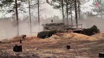 Минобороны России: Расчет гаубицы «Мста-Б» группировки войск «Днепр» уничтожил пункт управления БПЛА ВСУ в Херсонской области