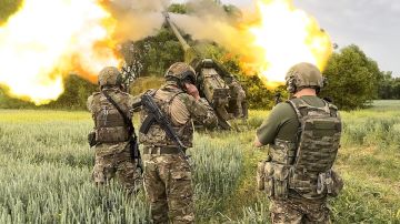 МО: бойцы РФ освободили Новоалександровку в Днепропетровской области