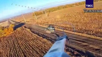 ТАСС публикует кадры из освобожденной Новоалександровки в Днепропетровской области