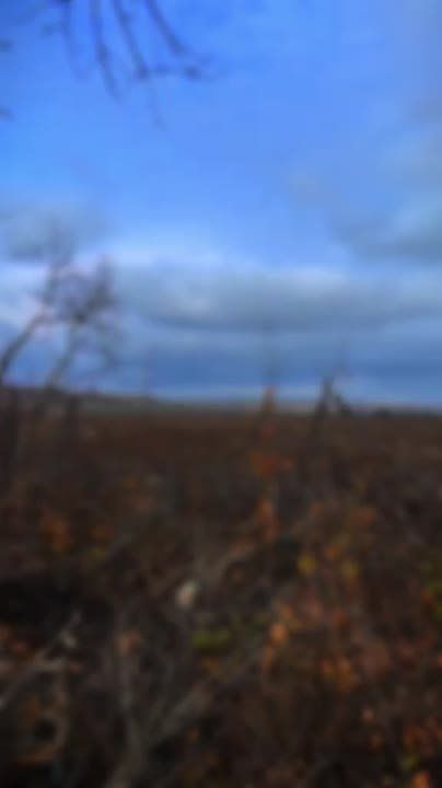  :  .  fpv-         - 