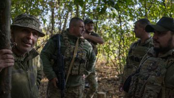 В Днепропетровской области в плен сдалась группа боевиков ВСУ