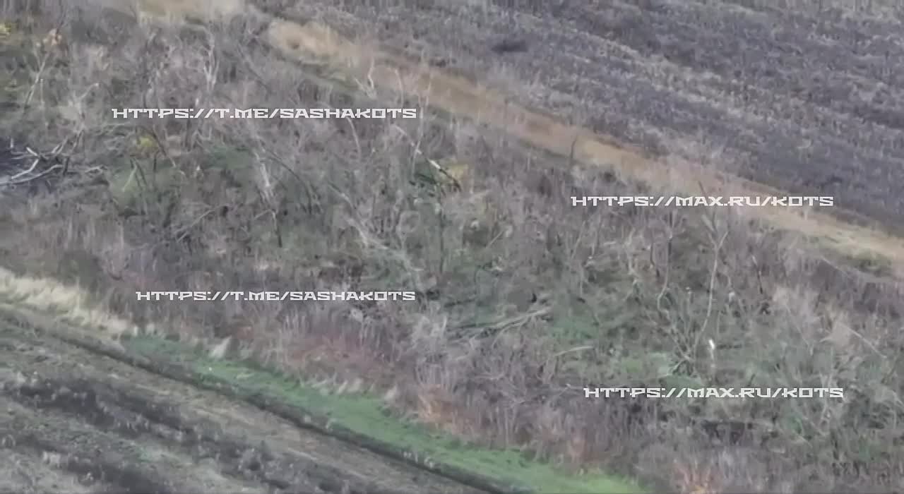 Александр Коц: Битва за Покровск. Последние новости