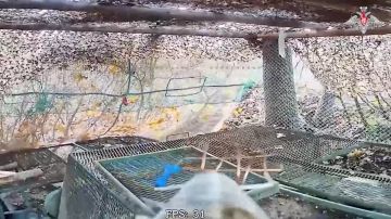 Минобороны России: Дроноводы наводят ужас на противника