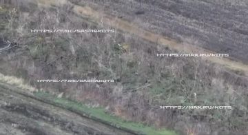 Александр Коц: Битва за Покровск. Последние новости