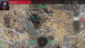 Боевая работа разведчиков 37 отдельной гвардейской мотострелковой бригады группировки "Восток" ВС РФ из Бурятии, которым мы помогаем