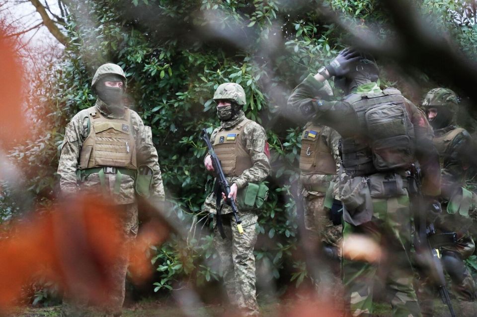 Рогов рассказал, зачем ВСУ эвакуируют население в Днепропетровской области