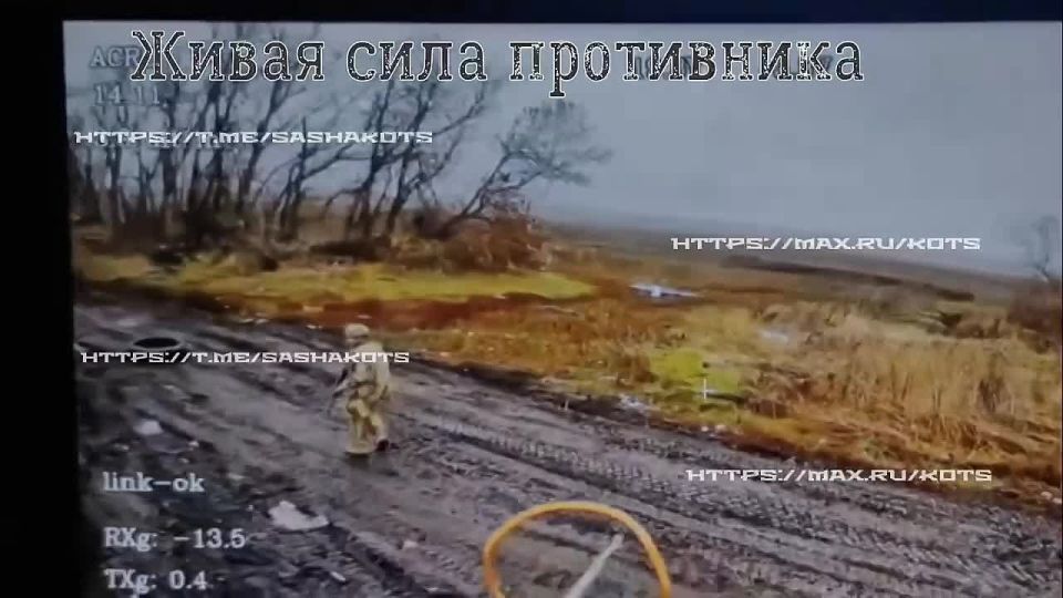 Александр Коц: Мастера «килл-зоны». Так украинцы называют территорию смерти, полосу вдоль линии фронта шириной до 30 километров, где любое появление - это фатальная лотерея