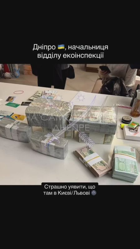 Хапуги никак не нажрутся. В Днепре задержали начальницу отдела экоинспекции