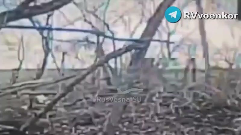 «тважные» штурмуют Покровск и наступают в Днепропетровской области