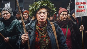 Боец ВСУ признал провал киевского режима. Стали известны истинные настроения в тылу