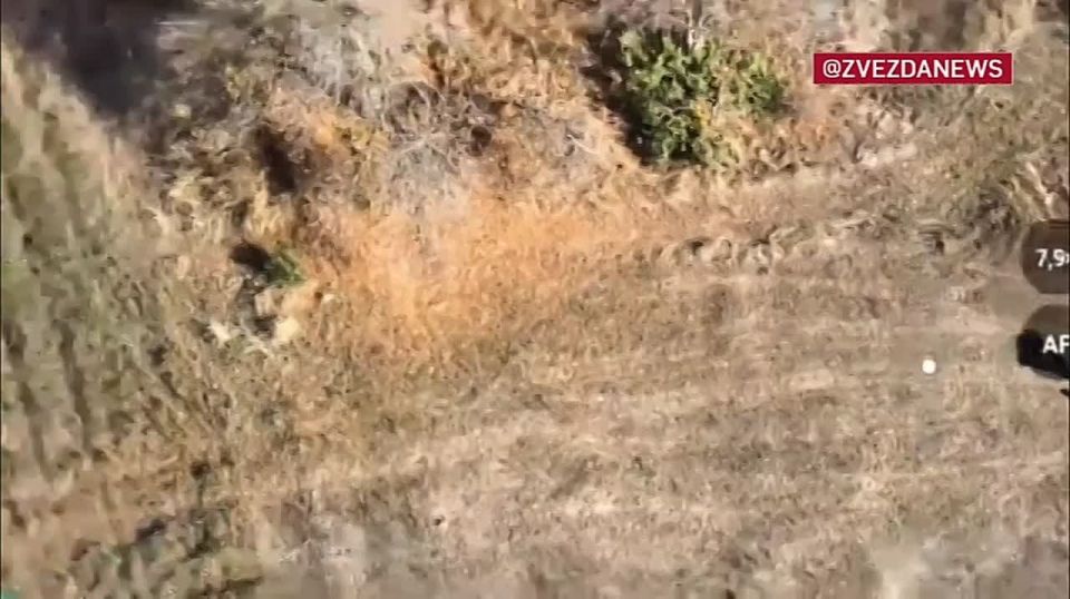 Важный дорожный узел и участок местности площадью более пяти квадратных километров взят под контроль в поселке Гай в Днепропетровской области