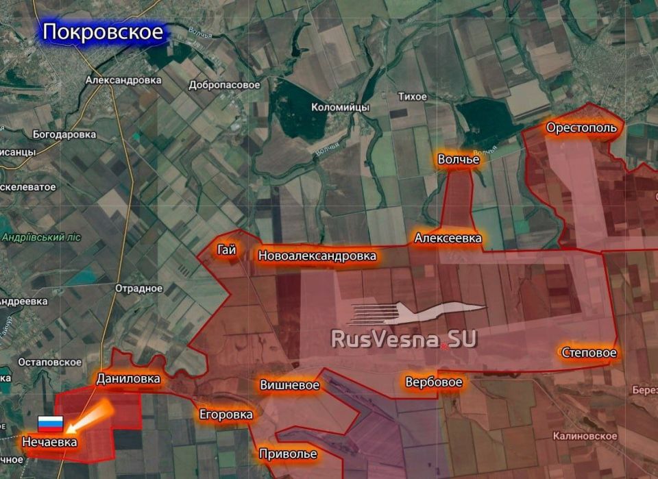 Российские войска освободили Нечаевку Днепропетровской области