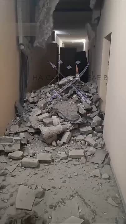 В Днепропетровске зацвели русские "Герани"