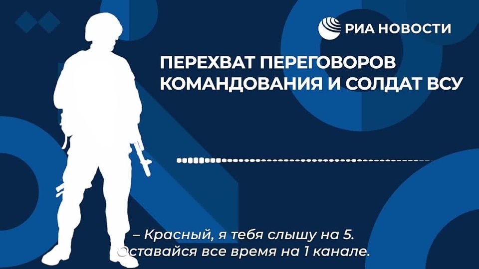 "Значит, мы вас просто сейчас поубиваем"