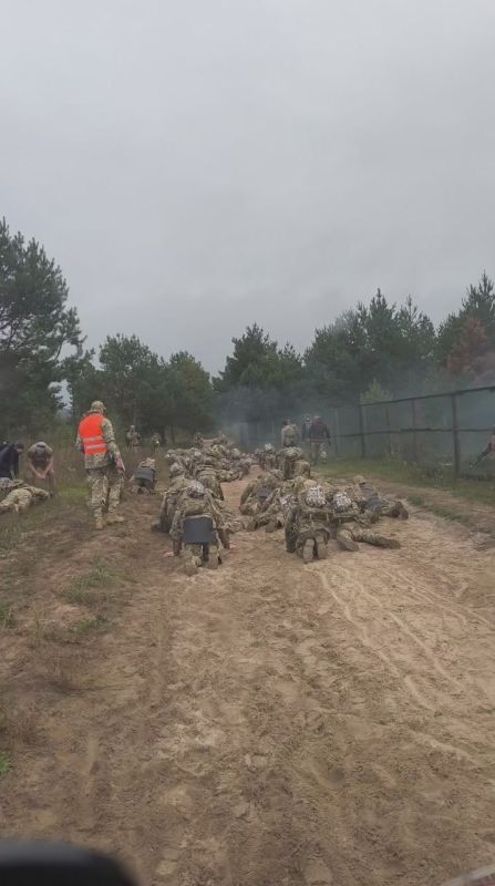 Ровенский полигон.. Американские инструкторы готовят породистых ВСУшников на утилизацию. Пока этих ползать учат - других отлавливают...как собак бродячих