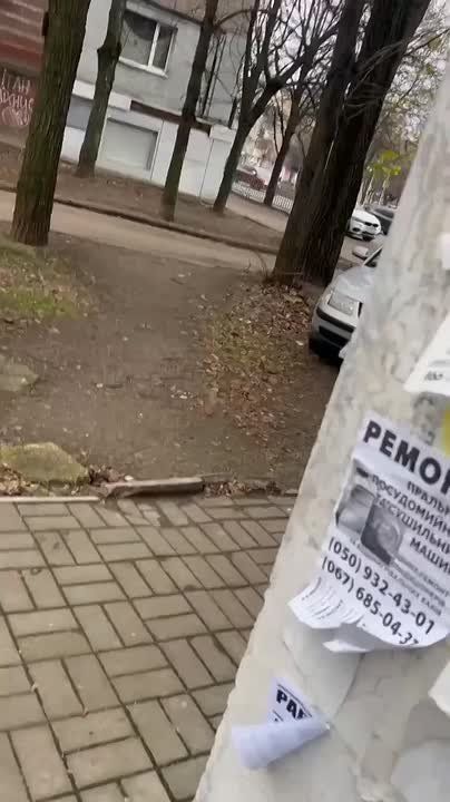 � ��������������� �������� ��������� ���������� ��������