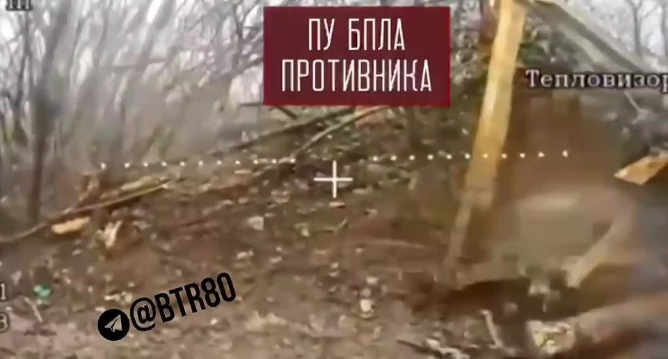 ����������� ����� ��������� � ���������������� ������� � �������� ���������